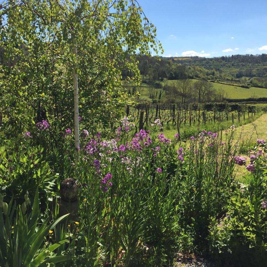 Vineyard Garden Studio Mont-Saint-Jean  Esterno foto