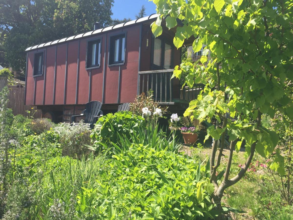 Vineyard Garden Studio Mont-Saint-Jean  Esterno foto