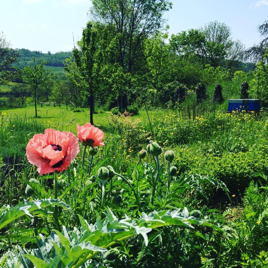 Vineyard Garden Studio Mont-Saint-Jean  Esterno foto